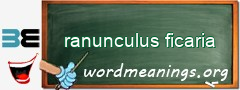 WordMeaning blackboard for ranunculus ficaria